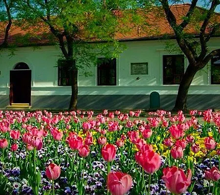 Ferienhaus Mate House