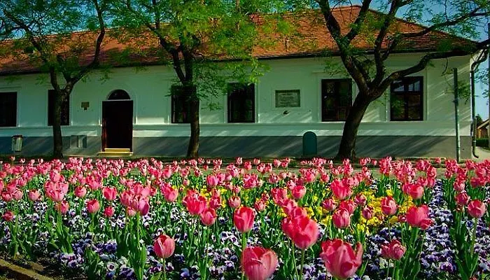 Case de vacanță Mate House